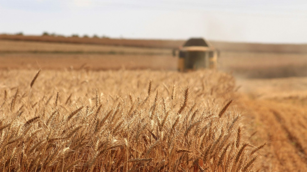 Agridex